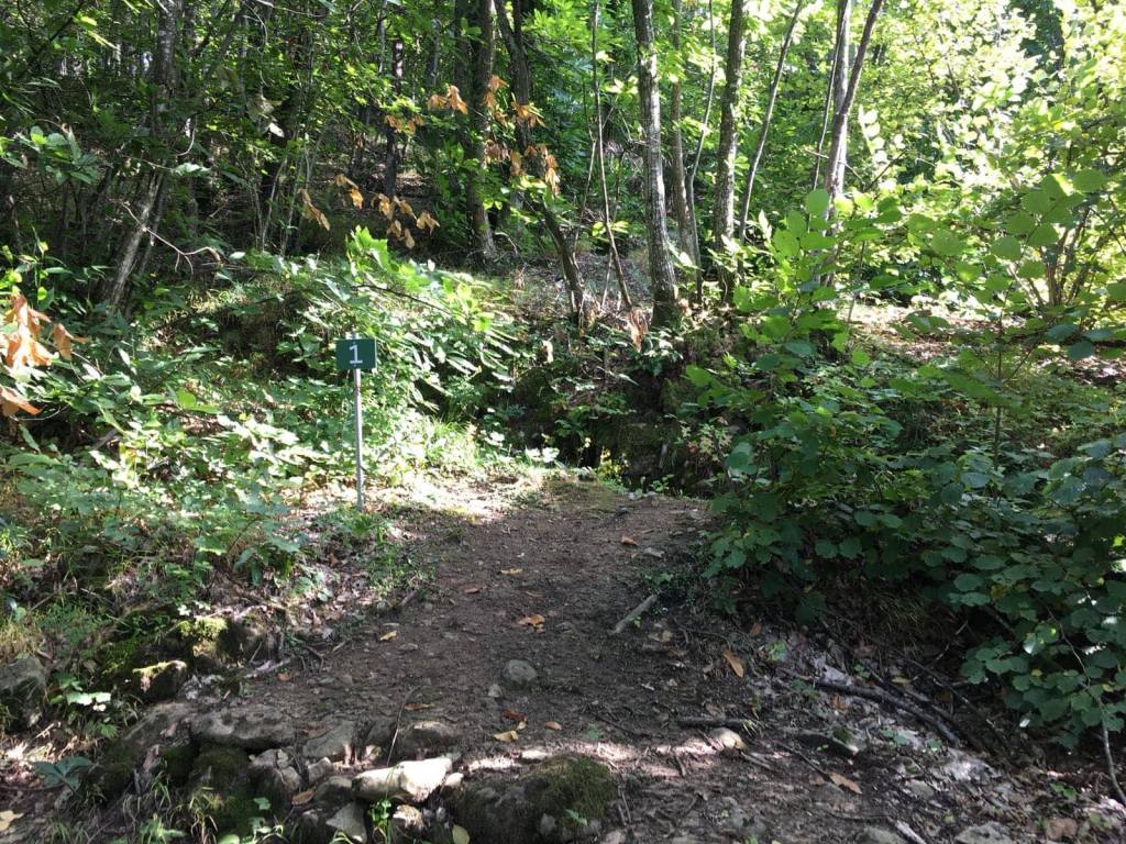 Posição alemã em Montese