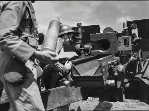 Treinamento da Artilharia da Força Expedicionária Brasileira